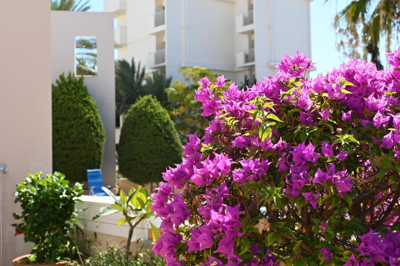 Отдыхайте С Удовольствием Paphos Exteriör bild